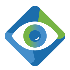 Vision